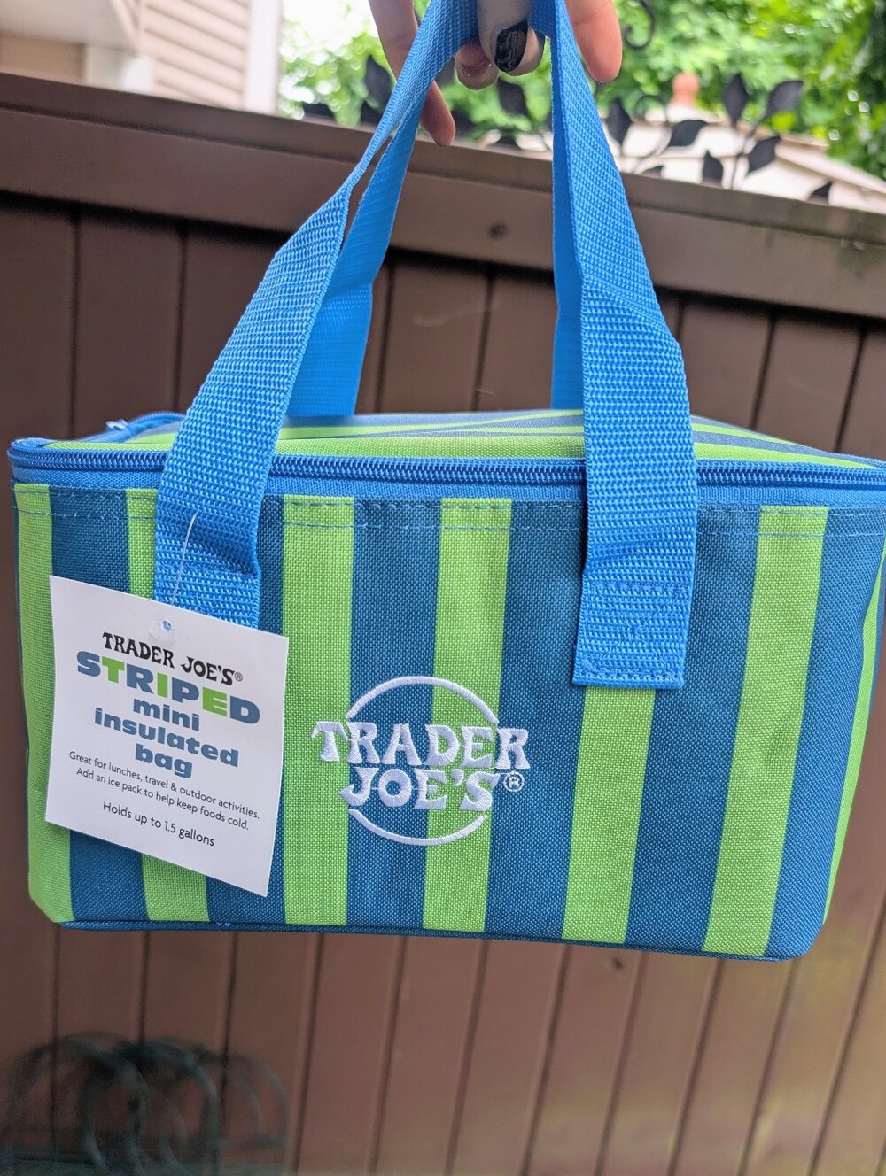 *NEW* Trader Joe's Mini Insulated Tote Bag - hot blue-and-green stripes